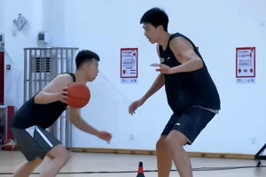 哪里有适合分卫的训练营?全面解析与推荐